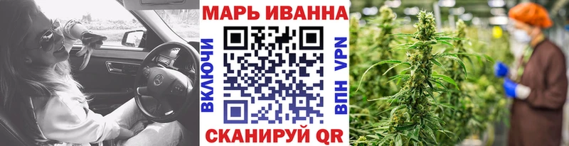 Купить где  Струнино  Конопля Ganja 